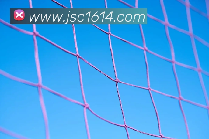 金沙娱乐官网发展历程